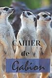  CAHIER DE GABION-HUTTE-TONNE: Carnet de bord du Huttier  livre de chasse à la tonne Cahier de bord du Gabion Carnet d\'observations et de prélèvement chasse migrateurs,élément indispensable du Huttie