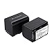 Powerextra 2 PCS Sony NP-FH70 Replacement Li-ion Battery For Sony DCR-DVD650, DCR-HC20, DCR-HC21, DCR-HC22, DCR-HC48, DCR-HC51, DCR-HC52, DCR-HC53, DCR-HC62, DCR-SR42, DCR-SR45, DCR-SR65, DCR-SR82
