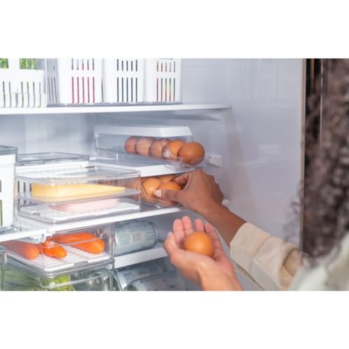 OU ORGANIZADOR DE OVOS ROLL CLEAR FRESH 14 UNID.