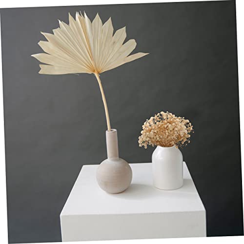 Ramo seco de flores Gypsophila natural para decoración miniatura 5