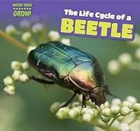 The Life Cycle of a Beetle 1499406606 Book Cover