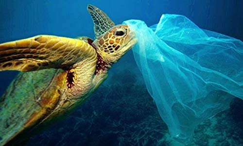 R&ugrave;a cũng biết kh&oacute;c