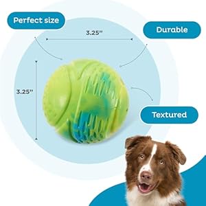 Petstages Grunt N Punt Tennis Ball Fetch Ball Dog Toy Multi