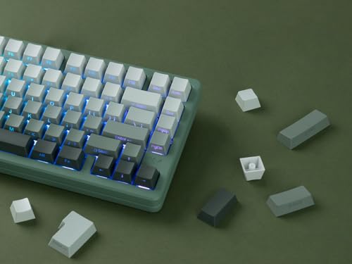 Image of dagaladoo Shine Through keycaps Set,Double Shot PBT keycaps Gradient | Side Print keyboard keycaps,OEM Profile custom Key caps for Mechanical Keyboards 60% 65% 75% 100% TKL Layout,Seaweed Green