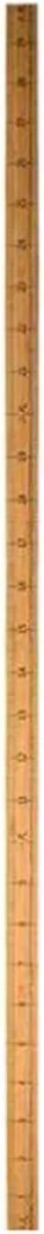 Wooden Ruler 12Inch 24Inch Double-Sided Scale Rulers Wood Measuring Ruler Inches Centimeter Metric Ruler for Students