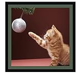 Couleur du passepartout: Vert foret