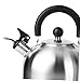 CATIEBYE 1set Stainless Steel Kettle Spout Extension for Outdoor Camping Portable Tea Pot Pourer Cleaning Brush Convenient and Design