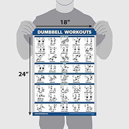 Palace Learning Dumbbell Workout Exercise Poster - Free Weight Body Building Guide | Home Gym Chart - LAMINATED, 18" x 24" - 1