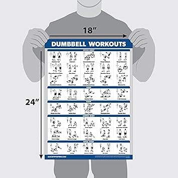Palace Learning Dumbbell Workout Exercise Poster - Free Weight Body Building Guide | Home Gym Chart - LAMINATED, 18 x 24
