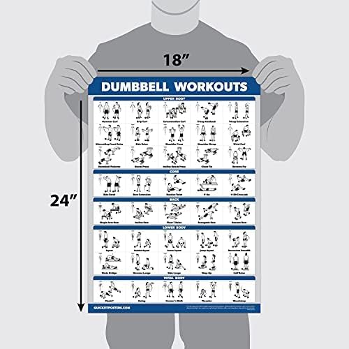Palace Learning Dumbbell Workout Exercise Poster - Free Weight Body Building Guide | Home Gym Chart - LAMINATED, 18" x 24" by Palace Learning - Image 2