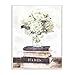 Stupell Industries Delicate White Florals on Parisian Bookstack Wall Art, 13 x 19, off-white