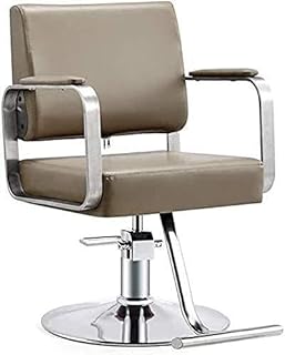 AuLYn Silla hidráulica para Negocios o hogar, Peinado, reclinación hidráulica, barbería, reclinación hidráulica, barbería Multiuso (420 Libras) (Color: marrón) (Caqui (Caqui)