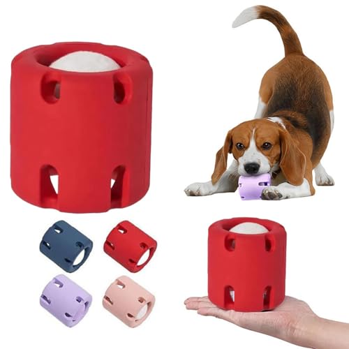 �e�j�X ���݂��� �e�j�X�{�[�� �V�R�S���̃C���^���N�e�B�u�Ȍ��̂�������, �O�̌��̂�������̎��̃P�A�̂��߂̑ϖ��Ր��̌��̎��̃{�[��, �m��ߋ� �� �������{�[�� �g���[�j���O ��(�Z����+���̃e�j�X�{�[��)