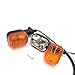 SPNUVR 2Pcs Rear Motorcycle turn signals Winker Indicators light for Yamaha BWS 50 100 125 ZUMA/50F/50 FX ZUMA 125 (Amber)