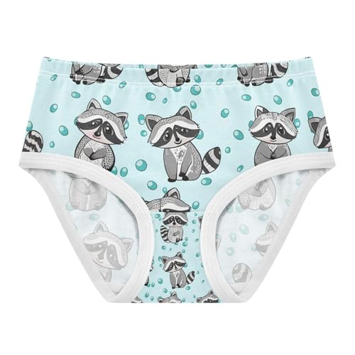 Cute Raccoons Toddler Girls's Underwear 2T 202c1127
