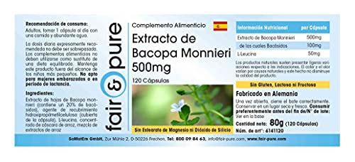 Brahmi Bacopa Monnieri Extrakt 500mg – 120 Kapseln