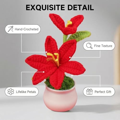 RANXIZY Handmade Potted Crochet Lily Flower,Artificial Lily Flowers Plants with Realistic Stamen, Mini Knitted Floral Lilies for Desk Decoration& Gift, 5.9 Inches Tall(Red1) — view 4