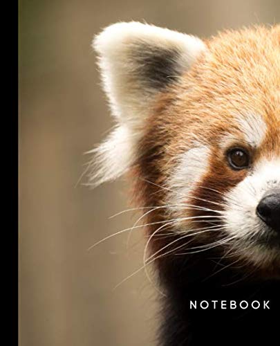 Notebook: Adorable Red Panda Composition Notebook: Wide-Ruled College Journal (Red Panda Notebooks)