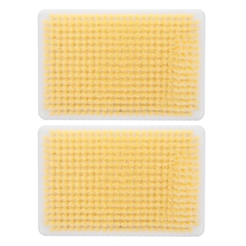Brosse dos douche murale Healvian pour un nettoyage relaxant à la maison
