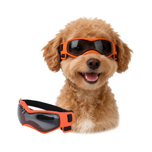 Lunettes pour petit chien contre le vent pour protéger ses yeux - 2