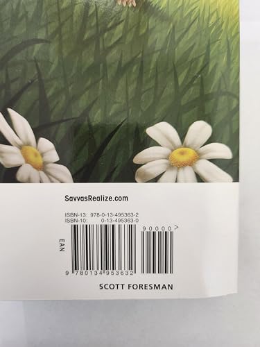 ENVISION MATHEMATICS 2020 NATIONAL STUDENT EDITION GRADE 1 VOLUME 1