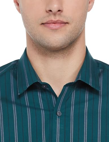 Image of Arrow Men's Striped Slim Fit Shirt