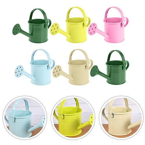 NICEXMAS 6Pcs Regador de Planta Com Aspersor Mini Flor de Jardim Indoor Outdoor Planta Regador de Fe