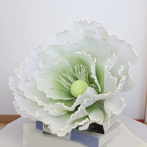 HGJH ^ tFCNt[  EFfBO t[ t[AWg  p[eB[ J[2 tHgX|bg  A N₩ȐF lHϗt |s[ l 50CM 135cm