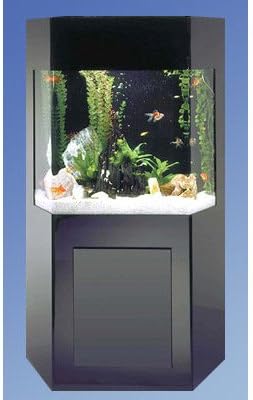 Fountain AquaCustom 50 Gallon Shadow Box Aquarium