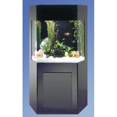 Fountain AquaCustom 50 Gallon Shadow Box Aquarium