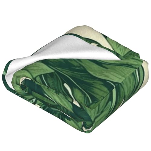 Couverture microfibre pelucheuse d'une douceur exceptionnelle pour intérieur - 4