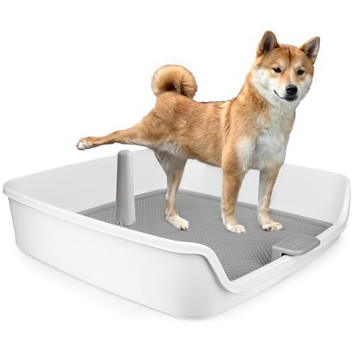 ALL-FOR-PAWS-Pee-Pad-Holder-Dog-Litter-Box-Large-Size-Dog-PadsPuppy-Pads-Holder-Dog-Potty-Tray-for-Dog-Potty-Training248-x-248 ALL FOR PAWS Pee Pad Holder Dog Litter Box Large Size Dog PadsPuppy Pads Holder Dog Potty Tray for Dog Potty Training248 x 248