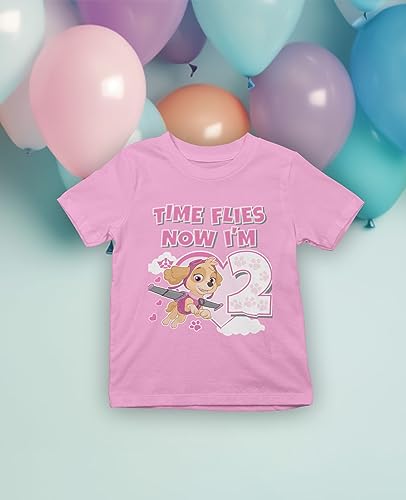 Tstars Time Flies 2nd Birthday Girl Shirt 2 Years Old Skye Paw Patrol Toddler Girls Fitted T-Shirt 4T Pink4