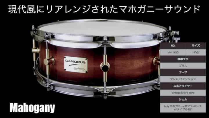Amazon.co.jp: CANOPUS カノウプス スネアドラム Mahogany Series MH 