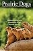 Prairie Dogs: Communication and Community in an Animal Society
