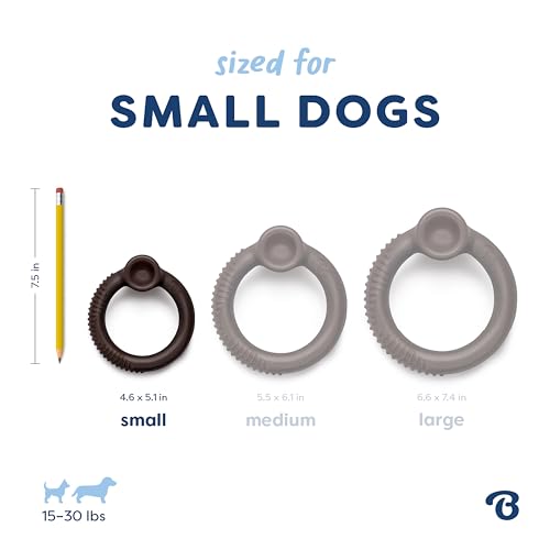 Image of Benebone Ring Dog Chew Toy for Aggressive Chewers, Blueberry, Small | Durable, Super Chewer, Dog Bones, Long-Lasting, A Size for Every Dog, Keeps Them Busy