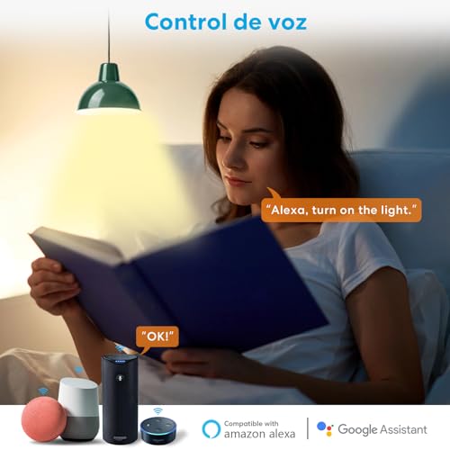 LoraTap Dual Interruptor Inteligente WiFi, 2 Gang, 2 Canales, Conmutador y Paralelo, Receptor 5A 1100W, Inalámbrico Módulo Relé, Alexa Google Home Compatible - imagen 3