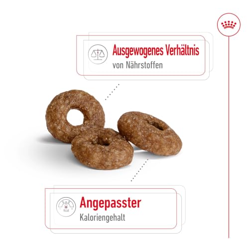 ROYAL CANIN MINI AGEING 12+ Trockennahrung für Hunde – 0.8 kg – Ansicht 4