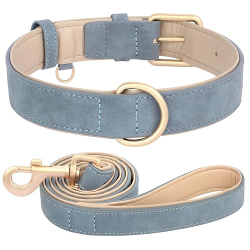 Ensemble collier et laisse en cuir pour chien XL noir