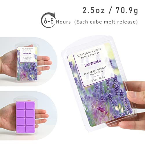 SCENTORINI Wax Melts, Scented Wax Melts Wax Cubes Strong Scent, Natural Soy Wax for Wax Warmer 4 Pack- Ocean Breeze, Vanilla Coconut, Cinnamon, Lavender - Thumbnail 6