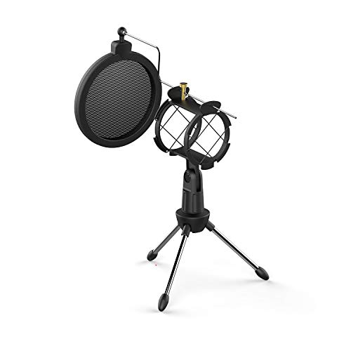 CISNO Studio Condenser Mic Microphone Shock Mount with Metal Wind Screen Pop Filter Combo Mask Shield for Recording