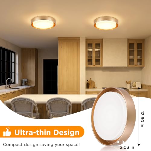 Image of LUTEC Flush Mount Ceiling Light, 13in 23W Dimmable LED Ceiling Lights, 3000K Daylight, 3000lm Super Bright Energy-Efficient Modern Lamp for Bedroom, Hallway, Kitchen(Gold)