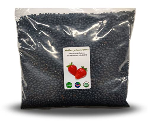 Black Turtle Beans 5 Pounds USDA Certified Organic, Non-GMO Bulk, Product of USA, Mulberry Lane Farms