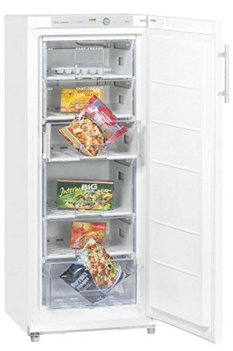 Gefrierschrank GS 22 A++ | Standgerät | 196 Liter Nutzinhalt | weiß