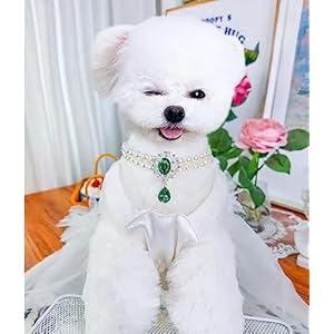   2-Row-Pearls-Collar-for-Cats-Pearl-Dog-Collar-Rhinestone-Necklaces-for-Small-Dogs-Collar-Accessories-Cat-Pearl-Collar-Small-Emerald