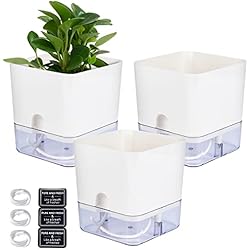 Maceta Lidl FORMIZON Juego de 3 Maceta para Hierbas Aromáticas de Cocina, Macetas para Flores y Plantas, Macetas de Plantas, con Autorriego y Almacenamiento de Agua, para Exterior y Interior (14x16x12cm)