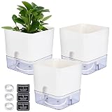 macetas de autorriego pdf Estilo simple: combinación de diseño clásico y apariencia bonita para exhibir sus plantas de la mejor manera. ¡Impresionará a sus invitados, amigos y familiares!