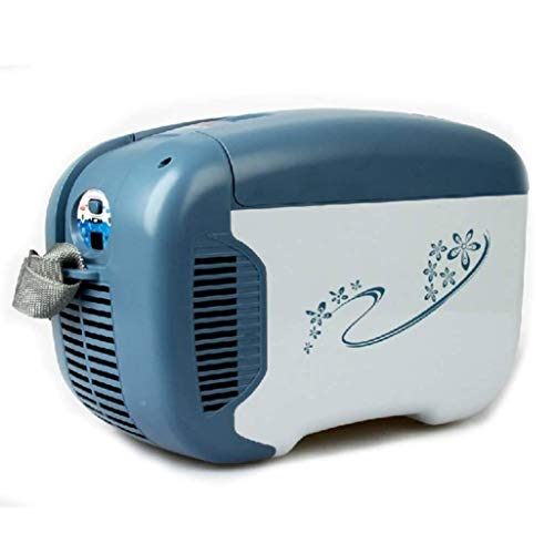 Tragbarer Kühlschrank Gefrierschrank Elektroheizung Powered und Kühl Reisen Mini Picknick Kühlschrank Kann erwärmenden - for Auto, Boot, LKW,