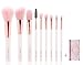 9 Pieces Makeup Brushes with Cosmetic Bag,ENZO KEN Professional Makeup Brush Set for Face Eyeliner Blush Contour Foundation
