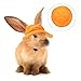 BESPORTBLE 2pcs Guinea Pig Hamster and Rabbit Hat Adorable Orange Pet Costume Accessory for Small Animals for Parties Role-Playing and Christmas Celebrations